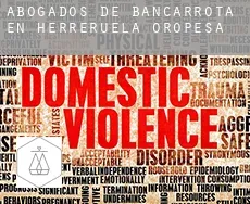 Abogados de bancarrota en  Herreruela de Oropesa