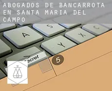 Abogados de bancarrota en  Santa María del Campo