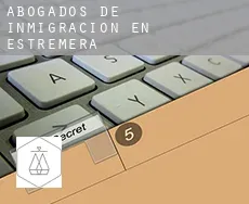 Abogados de inmigración en  Estremera