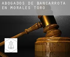 Abogados de bancarrota en  Morales de Toro