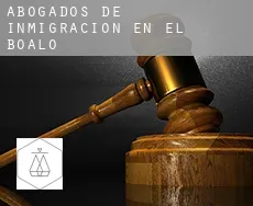 Abogados de inmigración en  El Boalo