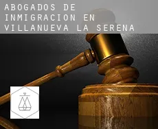 Abogados de inmigración en  Villanueva de la Serena