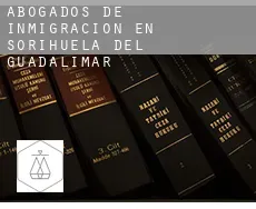 Abogados de inmigración en  Sorihuela del Guadalimar