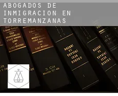 Abogados de inmigración en  Torremanzanas / Torre de les Maçanes