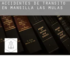 Accidentes de tránsito en  Mansilla de las Mulas
