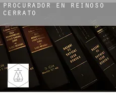 Procurador en  Reinoso de Cerrato