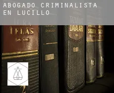 Abogado criminalista en  Lucillo