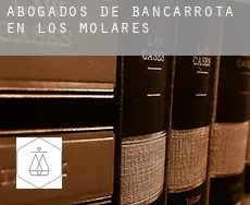 Abogados de bancarrota en  Los Molares