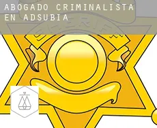 Abogado criminalista en  Adsubia