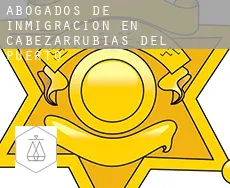Abogados de inmigración en  Cabezarrubias del Puerto