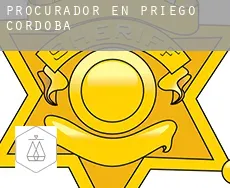 Procurador en  Priego de Córdoba