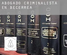 Abogado criminalista en  Becerreá