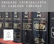 Abogado criminalista en  Cabezón de Cameros