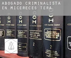 Abogado criminalista en  Micereces de Tera