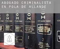 Abogado criminalista en  Pola de Allande
