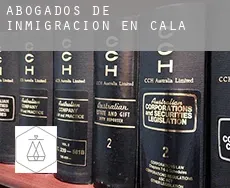 Abogados de inmigración en  Cala