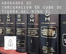 Abogados de inmigración en  Cubo de Tierra del Vino (El)