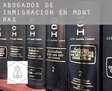 Abogados de inmigración en  Mont-ras