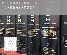 Procurador en  Torrehermosa