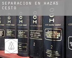 Separación en  Hazas de Cesto