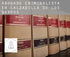 Abogado criminalista en  Calzadilla de los Barros