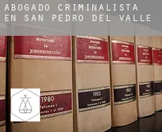 Abogado criminalista en  San Pedro del Valle