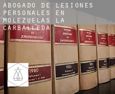 Abogado de lesiones personales en  Molezuelas de la Carballeda