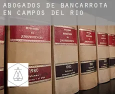 Abogados de bancarrota en Campos del Río