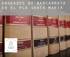 Abogados de bancarrota en  El Pla de Santa Maria