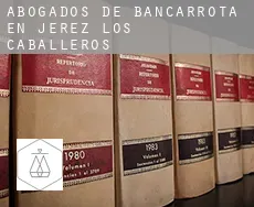 Abogados de bancarrota en  Jerez de los Caballeros