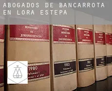 Abogados de bancarrota en  Lora de Estepa
