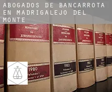 Abogados de bancarrota en  Madrigalejo del Monte
