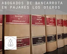 Abogados de bancarrota en  Pajares de los Oteros