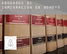 Abogados de inmigración en  Bohoyo