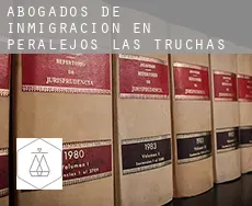 Abogados de inmigración en  Peralejos de las Truchas