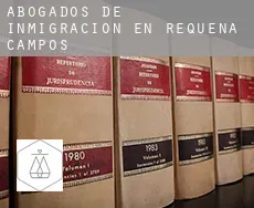 Abogados de inmigración en  Requena de Campos