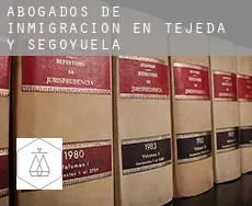 Abogados de inmigración en  Tejeda y Segoyuela