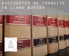 Accidentes de tránsito en  Llano de Bureba
