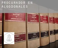 Procurador en  Algodonales