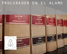 Procurador en  El Álamo