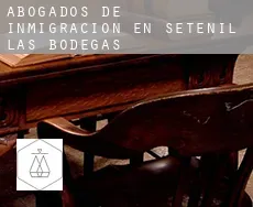 Abogados de inmigración en  Setenil de las Bodegas