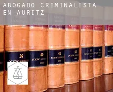 Abogado criminalista en  Auritz / Burguete