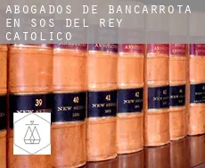 Abogados de bancarrota en  Sos del Rey Católico