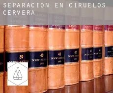 Separación en  Ciruelos de Cervera