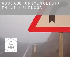 Abogado criminalista en  Villalengua