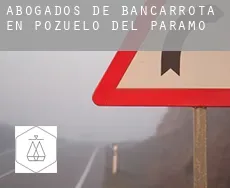 Abogados de bancarrota en  Pozuelo del Páramo