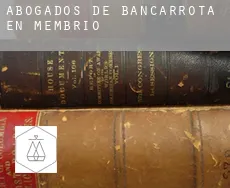 Abogados de bancarrota en  Membrío