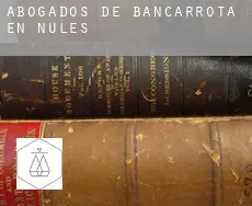 Abogados de bancarrota en Nules