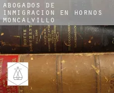 Abogados de inmigración en  Hornos de Moncalvillo