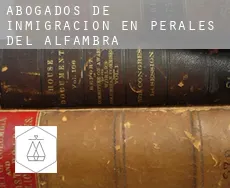 Abogados de inmigración en  Perales del Alfambra